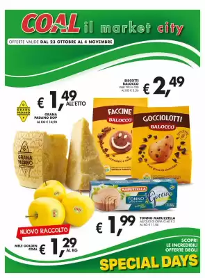 Volantino Coal (valido fino al 4-11)
