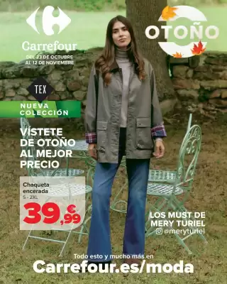 Folleto Carrefour (válido hasta el 12-11)