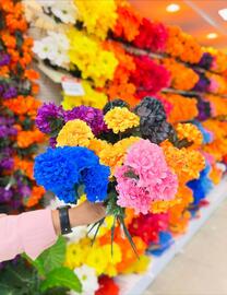 Catálogo Hemsa Página 5