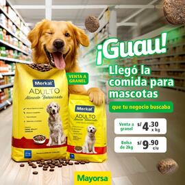 Catálogo Mayorsa Página 1