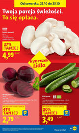 Lidl gazetka Strona 29