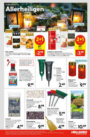 Hellweg Prospekt woche 43 Seite 23