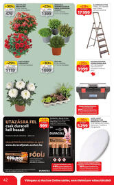 Auchan akciós újság hét 43 Oldal 42