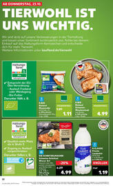 Kaufland Prospekt woche 43 Seite 22