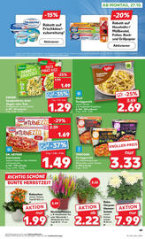 Kaufland Prospekt woche 43 Seite 49