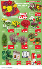 Kaufland Prospekt woche 43 Seite 5