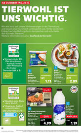 Kaufland Prospekt woche 43 Seite 22