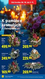 Lidl leták Strana 21