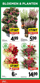 Vomar Voordeelmarkt folder Pagina 42