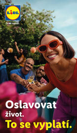 Lidl leták Strana 51