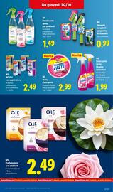 Volantino Lidl settimana 44 Pagina 31