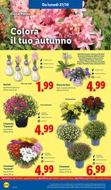 Volantino Lidl settimana 44 Pagina 42