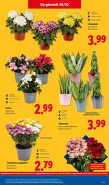 Volantino Lidl settimana 44 Pagina 43