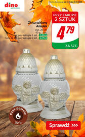 Dino gazetka tydzień 43 Strona 4