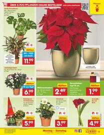 Netto Marken-Discount Prospekt woche 44 Seite 13