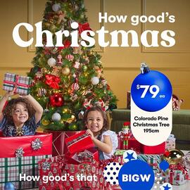 BIG W catalogue Page 1