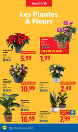 Catalogue Lidl semaine 44 page 32