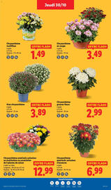 Catalogue Lidl semaine 44 page 33
