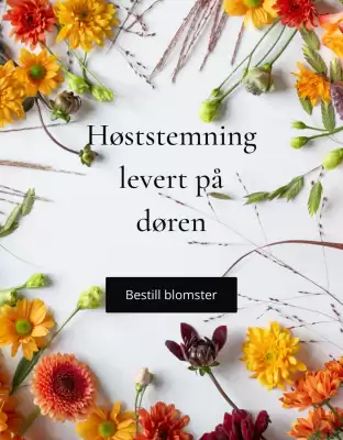 Floriss kundeavis (gyldig til 29-10)