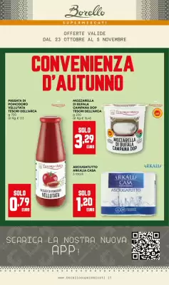 Volantino Borello Supermercati (valido fino al 5-11)
