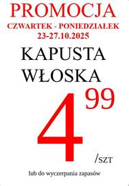 Wizan gazetka tydzień 43 Strona 2