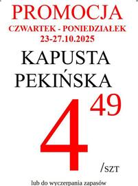 Wizan gazetka tydzień 43 Strona 3