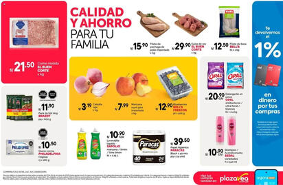 Catálogo Plaza Vea Página 2