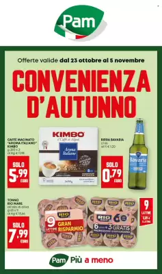 Volantino Pam (valido fino al 5-11)