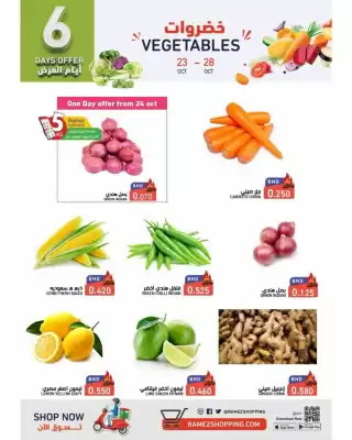 Ramez catalogue (valid until 6-11)