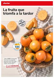 Folleto Supermercados Charter Página 10
