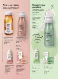 Catálogo Natura Página 124