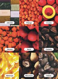 Catálogo Natura Página 127