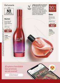 Catálogo Natura Página 165