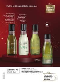 Catálogo Natura Página 25