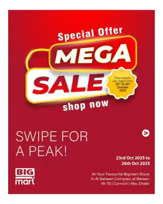 Bigmart leaflet (valid until 26-10)