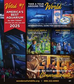 Cabela's weekly ad Page 177