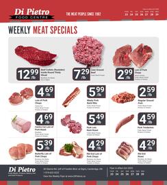 Di Pietro flyer Page 2
