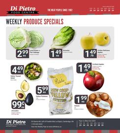 Di Pietro flyer Page 5