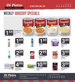 Di Pietro flyer Page 8