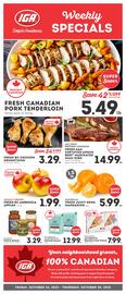 IGA flyer Page 1