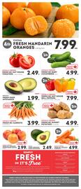IGA flyer Page 6