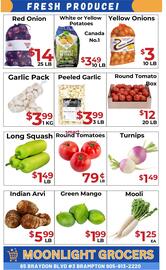 Moonlight Grocers flyer Page 2