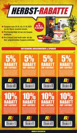 B1 Discount Baumarkt Prospekt woche 43 Seite 6