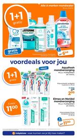 Trekpleister folder Pagina 24