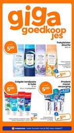 Trekpleister folder Pagina 3