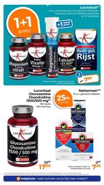 Trekpleister folder Pagina 34