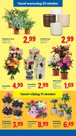 Lidl folder Pagina 21