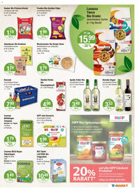 V Markt Prospekt woche 44 Seite 13