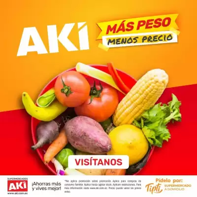 Catálogo Akí (válido hasta 2-11)