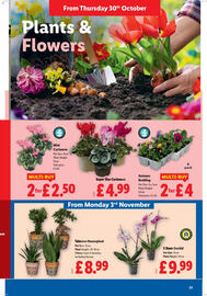 Lidl leaflet week 44 Page 25